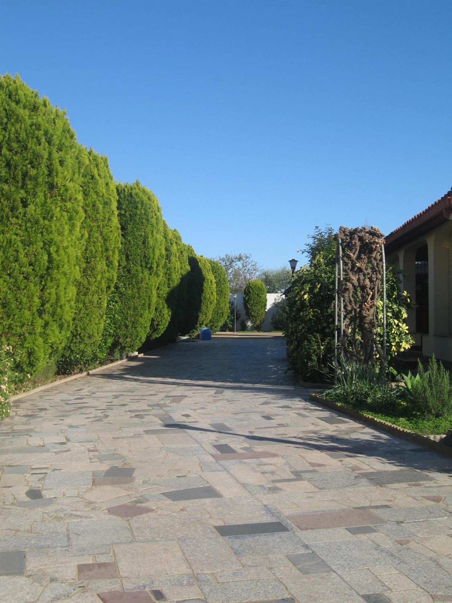 Villa Primavera Villa San Pietro Buitenkant foto
